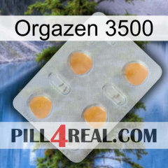 Orgazen 3500 24